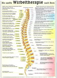 Dorn Breuss Therapie Luzern