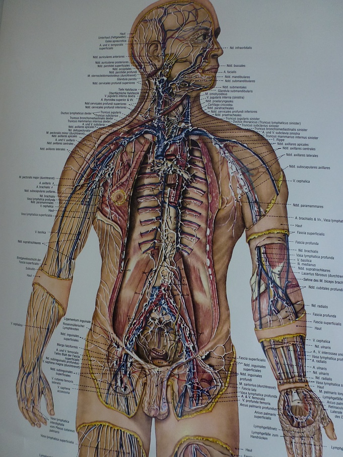 Lymphdrainage luzern